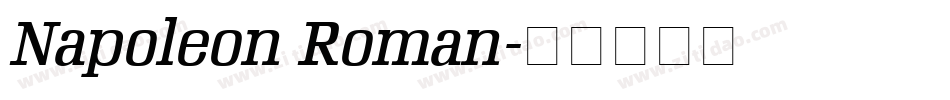 Napoleon Roman字体转换